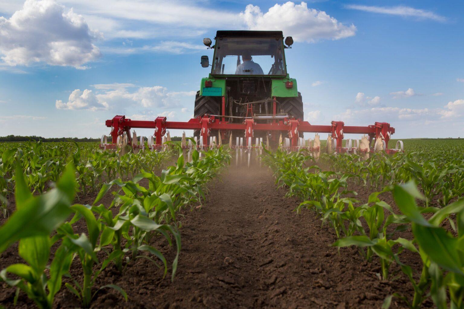 Pflüge der Landwirtschaft